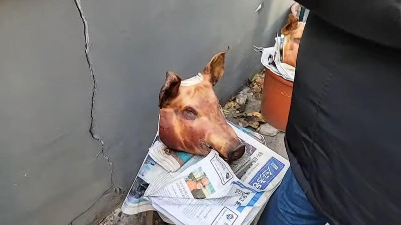 Pesta BBQ daging babi telah dimulai di depan lokasi pembangunan masjid di Daegu Daehyeon-dong. (Tangkapanlayar Twitter @koryodynasty)