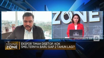 Roadmap Belum Ada, Kenapa Ekspor Timah Buru-buru Disetop?