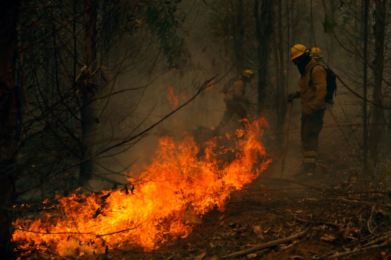 Pemandangan kebakaran di Santa Juana, provinsi Concepcion, Chili pada 3 Februari 2023. - Chili telah mengumumkan keadaan bencana di beberapa wilayah tengah-selatan setelah gelombang panas dahsyat memicu kebakaran hutan yang menyebabkan empat orang tewas, kata pihak berwenang pada hari Jumat . TOPSHOT - Pemandangan kebakaran di Santa Juana, provinsi Concepcion, Chili pada 3 Februari 2023. - Chili telah mengumumkan keadaan bencana di beberapa wilayah tengah-selatan setelah gelombang panas dahsyat memicu kebakaran hutan yang menyebabkan empat orang tewas, kata pihak berwenang pada hari Jumat . (JAVIER TORRES/AFP via Getty Images)