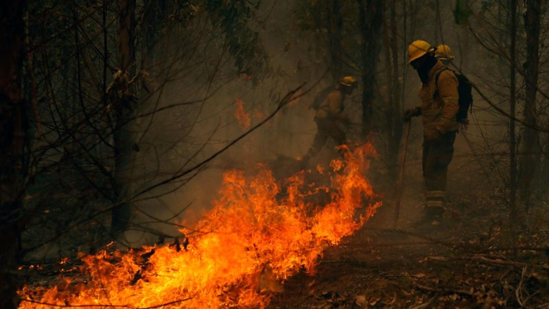 TOPSHOT - Pemandangan kebakaran di Santa Juana, provinsi Concepcion, Chili pada 3 Februari 2023. - Chili telah mengumumkan keadaan bencana di beberapa wilayah tengah-selatan setelah gelombang panas dahsyat memicu kebakaran hutan yang menyebabkan empat orang tewas, kata pihak berwenang pada hari Jumat . (JAVIER TORRES/AFP via Getty Images)