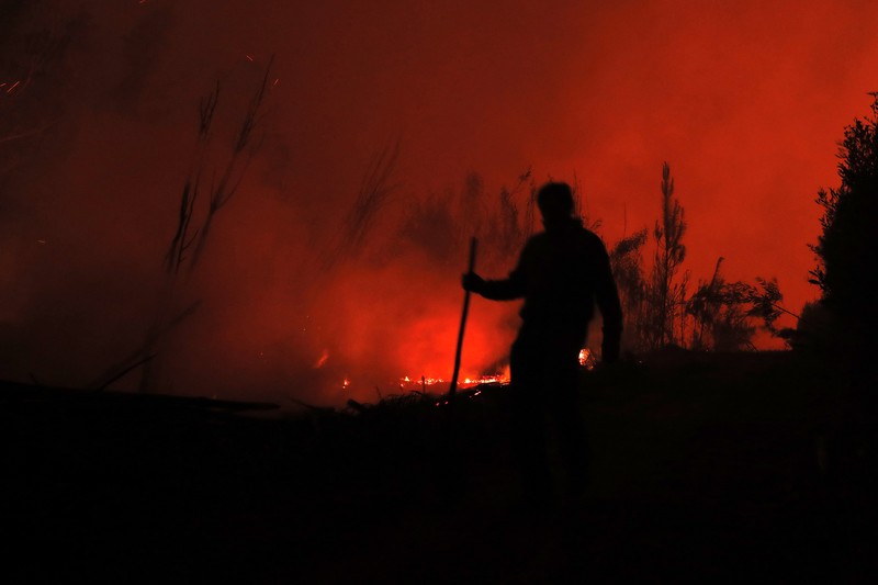 Pemandangan kebakaran di Santa Juana, provinsi Concepcion, Chili pada 3 Februari 2023. - Chili telah mengumumkan keadaan bencana di beberapa wilayah tengah-selatan setelah gelombang panas dahsyat memicu kebakaran hutan yang menyebabkan empat orang tewas, kata pihak berwenang pada hari Jumat . TOPSHOT - Pemandangan kebakaran di Santa Juana, provinsi Concepcion, Chili pada 3 Februari 2023. - Chili telah mengumumkan keadaan bencana di beberapa wilayah tengah-selatan setelah gelombang panas dahsyat memicu kebakaran hutan yang menyebabkan empat orang tewas, kata pihak berwenang pada hari Jumat . (JAVIER TORRES/AFP via Getty Images)