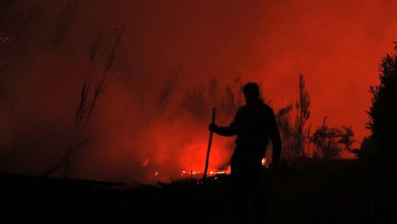 TOPSHOT - Pemandangan kebakaran di Santa Juana, provinsi Concepcion, Chili pada 3 Februari 2023. - Chili telah mengumumkan keadaan bencana di beberapa wilayah tengah-selatan setelah gelombang panas dahsyat memicu kebakaran hutan yang menyebabkan empat orang tewas, kata pihak berwenang pada hari Jumat . (JAVIER TORRES/AFP via Getty Images)