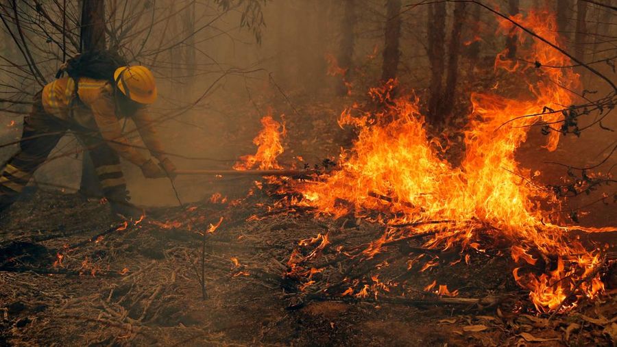 Seorang anggota brigade Korporasi Kehutanan Nasional (CONAF) memadamkan kebakaran di Nacimiento, provinsi Concepcion, Chili pada 4 Februari 2023. - Chili telah mengumumkan keadaan bencana di beberapa wilayah tengah-selatan setelah gelombang panas dahsyat memicu kebakaran hutan yang menyebabkan empat orang tewas, kata pihak berwenang pada hari Jumat. (JAVIER TORRES/AFP via Getty Images)