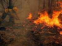 RI Siaga Fenomena Cuaca Ekstrem, Ini Dampak yang Ditakuti