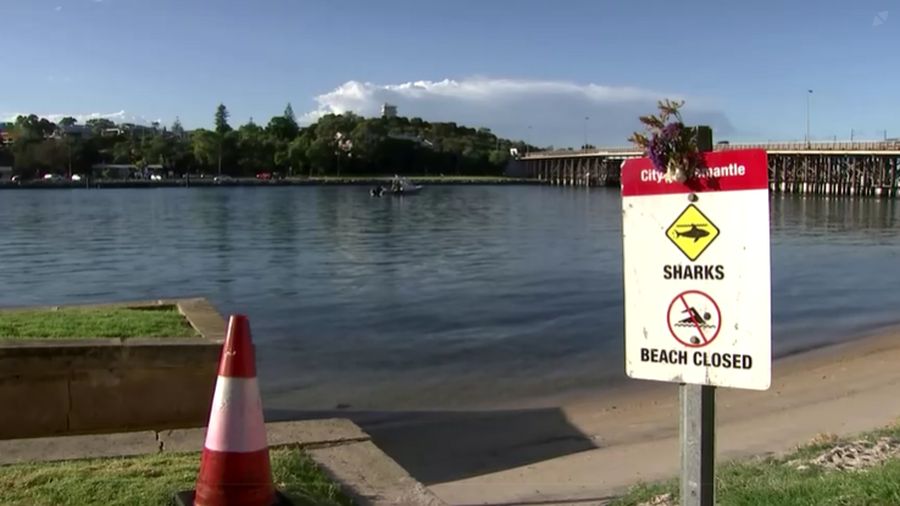 Seorang gadis berusia 16 tahun tewas setelah diserang hiu saat berenang di sungai di Australia Barat. (Tangkapan Layar Video Reuters / AUSTRALIAN BROADCASTING CORPPORATION)