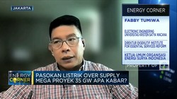 Ahli: Over Capacity Listrik Bebani PLN Tapi Jangan Hambat EBT