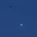 Usai Balon Mata-mata China, AS Tembak 'UFO' di Langit Alaska