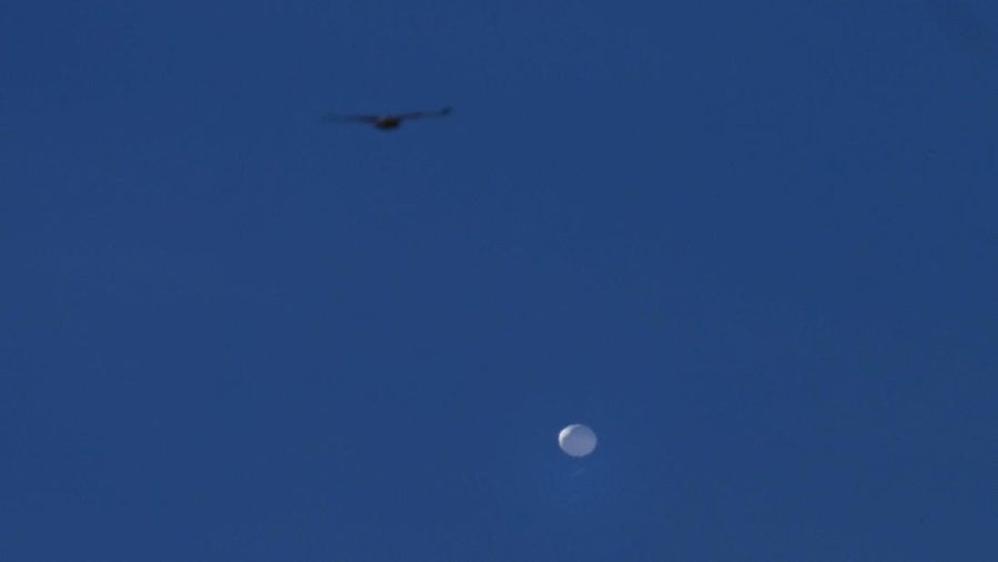 Balon mata-mata China terbang di atas Charlotte NC, Amerika Serikat pada 04 Februari 2023. (Anadolu Agency via Getty Images)