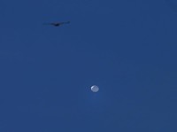 Misterius! Fakta Baru 'UFO' yang Ditembak & Buat Geger AS