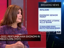Video: Faktor Ini Bikin Ekonomi RI Q4-2022 Tumbuh 5,01% (yoy)
