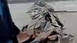 Bumi Terbelah Gempa Turki, Gedung Bergeser Menjauh