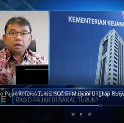 Rasio Pajak RI Terus Turun, Staf Sri Mulyani Ungkap Sebabnya!