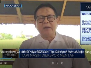 Jokowi Geram Hasil SDA Laut Diekspor Mentah, Apa Yang Salah?