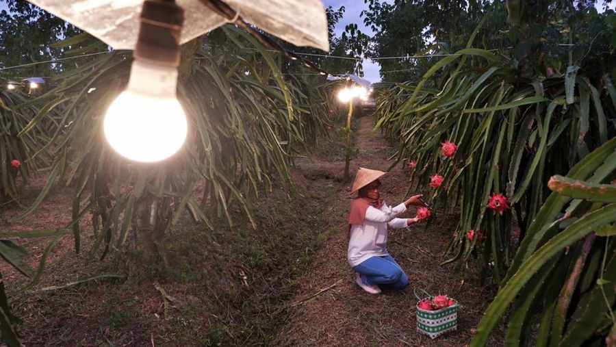 PT PLN (Persero) mencatat pertumbuhan penjualan listrik 6,17% di 2022. (Dok. PLN)