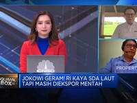 Sederet PR Wujudkan Mimpi Hilirisasi Produk Laut Jokowi