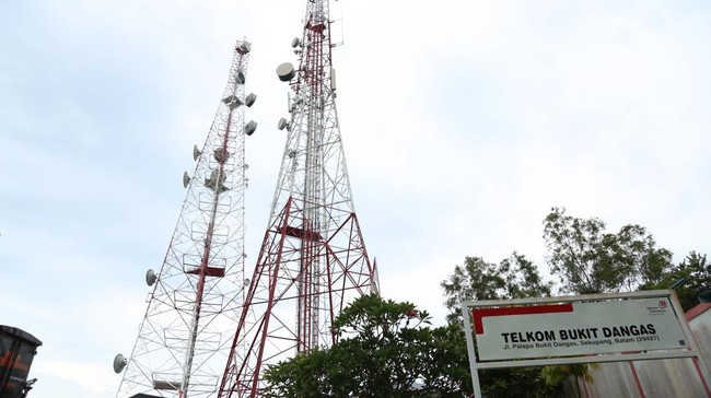 Komdigi Mau Lelang Frekuensi Emas, Telkomsel Happy
