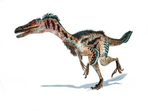 Mencapai 48 km/jam, Ini Dinosaurus yang Tercepat Menurut Pakar
