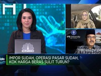 Bukan Cuma Soal Stok, HKTI Ungkap Sebab Harga Beras Tinggi
