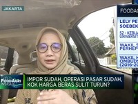 Operasi Pasar Sudah Tapi Harga Beras Sulit Turun, Kenapa?
