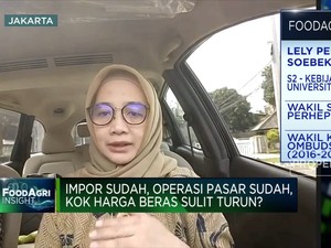 Operasi Pasar Sudah Tapi Harga Beras Sulit Turun, Kenapa?