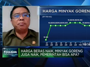 Video: Pasokan DMO Ditambah 50%, Harga Minyakita Yakin Turun?