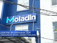 Moladin PHK 360 Karyawan, Demi Bisnis Yang Jangka Panjang