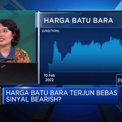 Video: Harga Batu Bara Terjun Bebas, Sinyal Bearish?