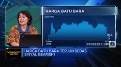 Video: Harga Batu Bara Terjun Bebas, Sinyal Bearish?