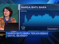 Video: Harga Batu Bara Terjun Bebas, Sinyal Bearish?
