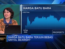 Video: Harga Batu Bara Terjun Bebas, Sinyal Bearish?