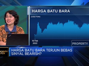Video: Harga Batu Bara Terjun Bebas, Sinyal Bearish?