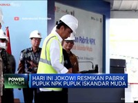 Jokowi Marah! Dua Pabrik Pupuk Tutup Saat Dunia Krisis Pupuk