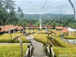 10 Tempat Makan dengan Panorama Sawah hingga Hutan Pinus di Puncak