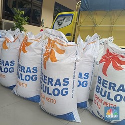Alert! Jelang Panen Raya Harga Beras Makin Menggila, Ada Apa?
