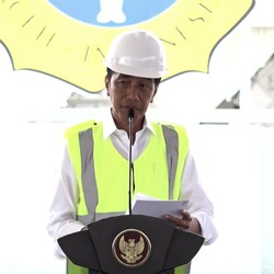 Petani Teriak, Jokowi Ungkap Biang Kerok Harga Pangan Terbang