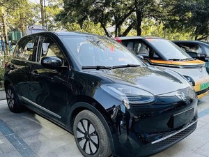 Wuling Masih Ogah Komentari Bingo di Indonesia, Fokus ke Air ev