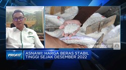 Video: Bulog Bongkar Mafia Beras, Harga Beras Kapan Turun?