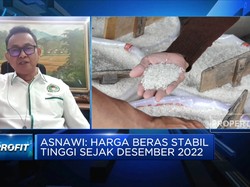 Video: Bulog Bongkar Mafia Beras, Harga Beras Kapan Turun?