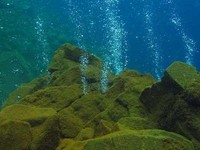 Terungkap Ada Gunung Bawah Laut di Pacitan Jawa Timur