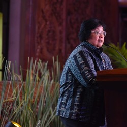 Ada Harta Karun Baru di Papua, Menteri LHK Buka Suara