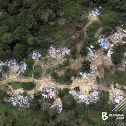 Kronologi Geger Kampung WNI Ilegal di Malaysia & Tanggapan RI