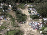 Alert! Pemerintah Jawab Kampung Ilegal WNI di Hutan Malaysia
