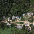 Heboh Malaysia Temukan Kampung Ilegal WNI di Pelosok Hutan