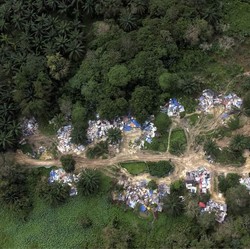 Geger Kampung WNI di Hutan Malaysia, Seluas 2 Lapangan Bola