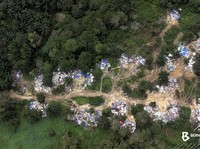 Heboh Malaysia Temukan Kampung Ilegal WNI di Pelosok Hutan