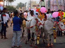 Pemuda Muslim India Tewas Tak Wajar Gegara Sapi, Kenapa?