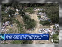 Geger Perkampungan Ilegal WNI di Pelosok Hutan Malaysia