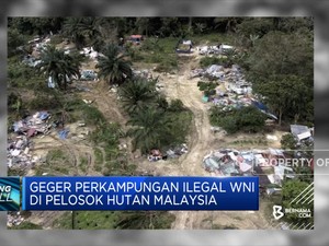 Geger Perkampungan Ilegal WNI di Pelosok Hutan Malaysia