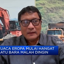 Harga Batu Bara Ambruk Ke Bawah USD 200/ton, Penambang Cemas?