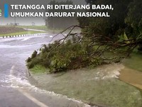 Video Selandia Baru Diguncang Badai hingga Darurat Nasional